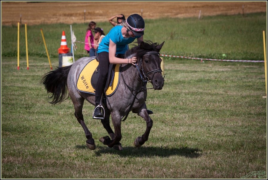 Mounted Games 333